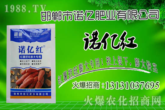 �������Z�|�t