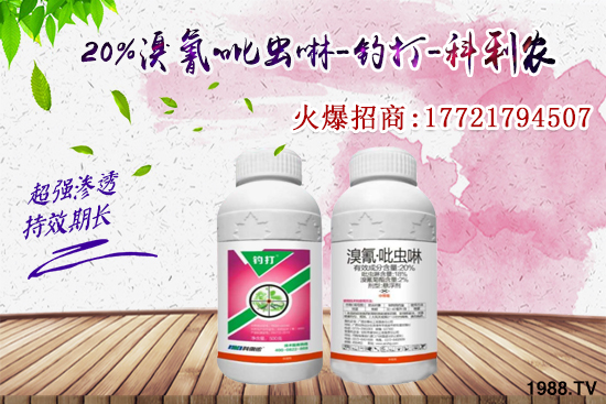 �������x(ch��ng)���l(f��)̫���������x(ch��ng)��ô��Ч���ã����x(ch��ng)���η�������Щ��