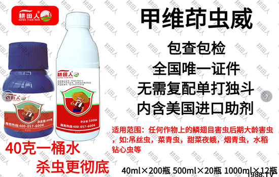 ����Ʒ�r(n��ng)ˎ�������¼Z�}������������ô�������x���a(ch��n)Ʒ����Щ��