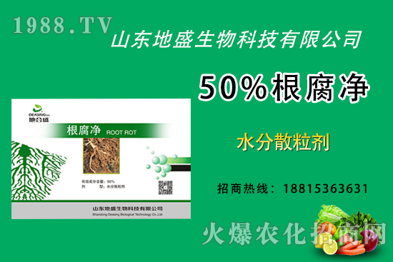 根腐病危害重，如何做好根腐病的防治？這樣做50%根腐凈！
