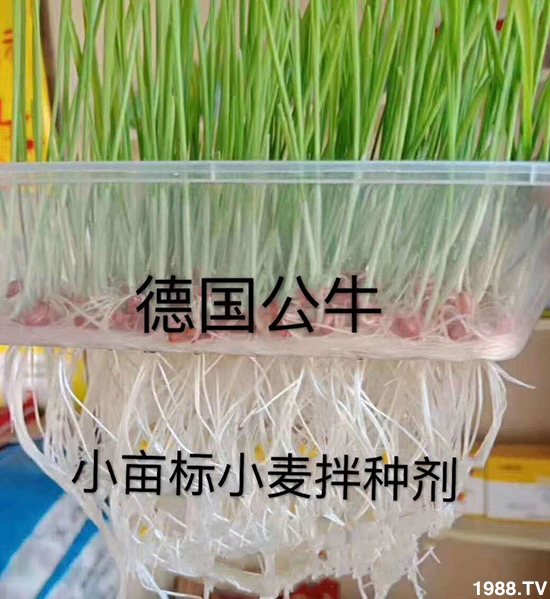 С����N�����a(ch��n)��С����N������x����С����N��Ʒ���x��