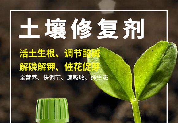 �����ޏ�(f��)��-����-���r(n��ng)˹�_(d��)_01