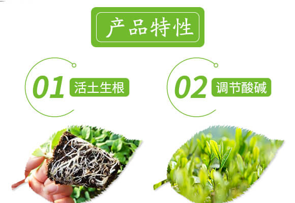 �����ޏ�(f��)��-����-���r(n��ng)˹�_(d��)_04