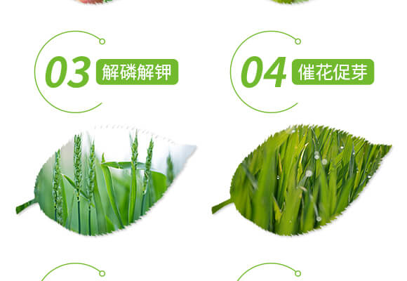 �����ޏ�(f��)��-����-���r(n��ng)˹�_(d��)_05