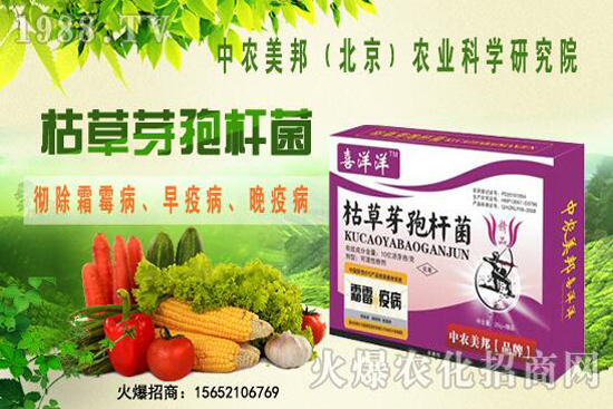 �ݲ�ѿ�ߗU���θ���������������Щ�������������Ό�������Щ��