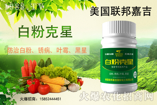 �׷۲���(qi��ng)��(sh��)���u������(f��)�l(f��)������β���ô������׷۲������]��