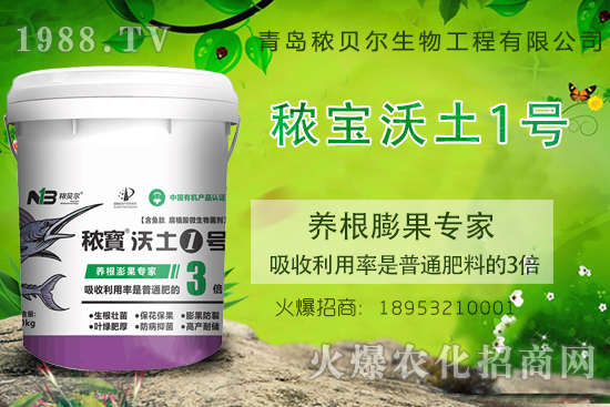 �����B(y��ng)������P�I���������B(y��ng)�����ԓʩʲô���أ�