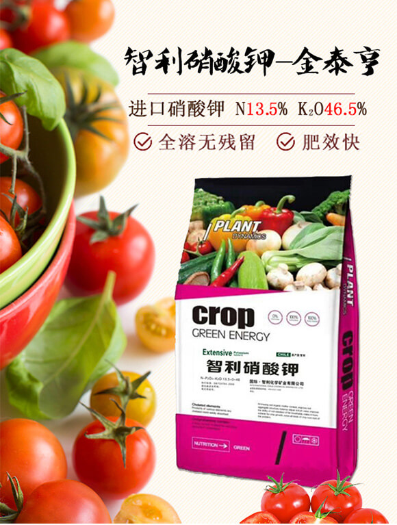 ���������-��̩��_01