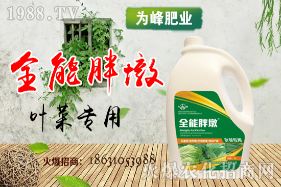 ��(f��)�Ϸʃr��