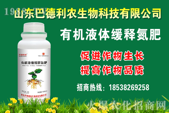 ���������Xһ��Nֲǰ����������Nֲ�ɱ�������������