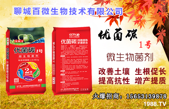 硼元素有什么作用？果樹缺硼有什么后果？什么時(shí)候補(bǔ)硼？