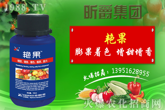 獼猴桃生長需要哪些元素？八月獼猴桃管理技術！