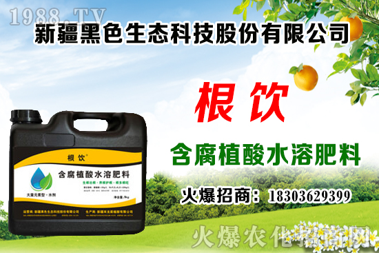 立秋后露地大白菜播種時(shí)間，管理需注意什么問(wèn)題？