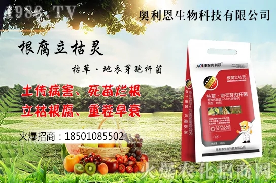 �S����ʲô����(ji��)���࣬�S���˷Nֲ������B��