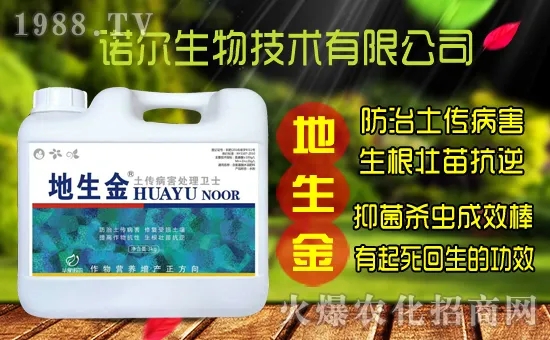 �S���˷N����ô�ɼ����S���˷N��r������Xһ����