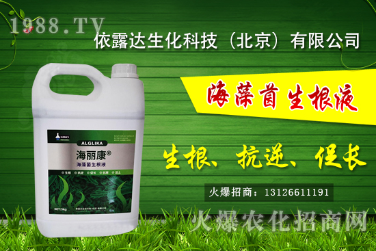 �J��������ЩƷ�N���J���Һ��殐����ʲô�^(q��)�e��