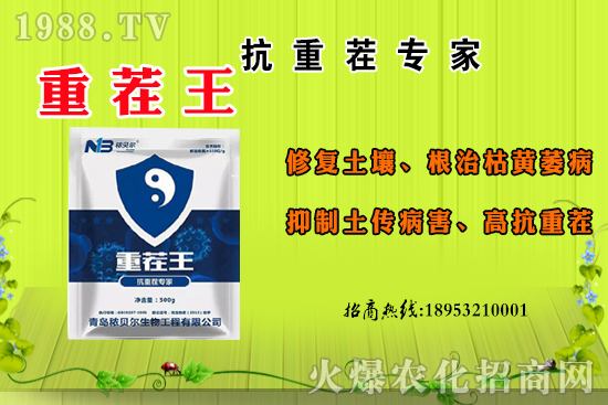 ɽ��ʲô����(ji��)������ɽ�����Ҫ�a(ch��n)������������ôʳ�ã�