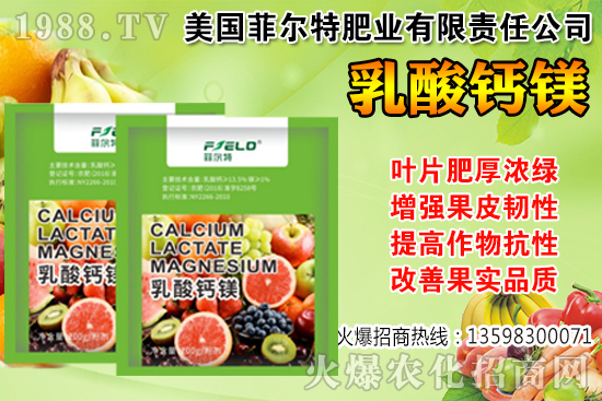 ���Ѳ��պ���α��r�����Ѳ��պ���@ע�������