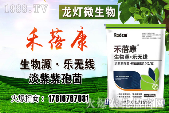 ���t���ڷ۷����ǣ����t��¶��ʹ���Nֲ�кβ�ͬ��