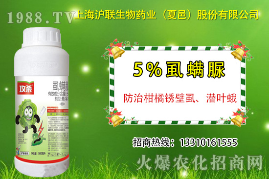 �����P��ʭ��ʲô�Y���ô�����������P��ʭ��ˎ���]