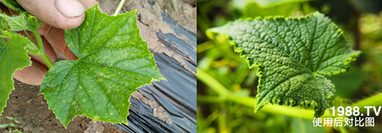 �а߃�-����