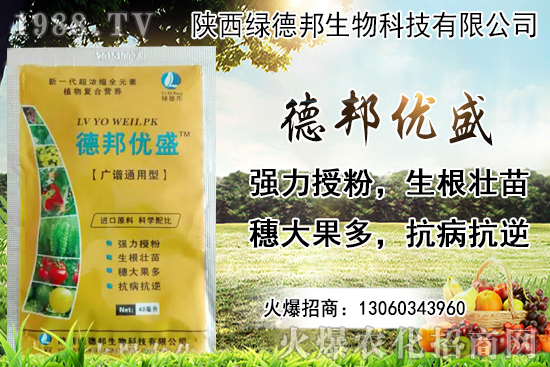 �����r(ji��)������Xһ���������Nֲ�ĭh(hu��n)�������x������