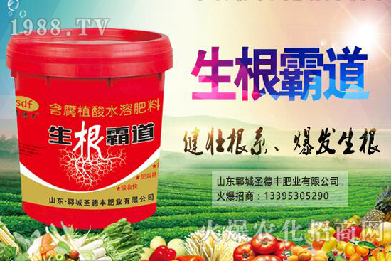 ������Nֲ����(ji��)��ʲô�r����������Nֲ��������Щ��