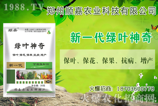 С���r(ji��)���B�B�ϝq���F(xi��n)��һ������X��