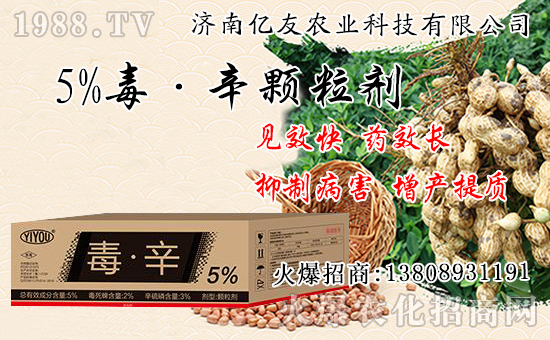 �������Ժʹ�����ʲô��ͬ���������԰˴��P(gu��n)�IҪ�c��