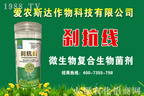 ���ռZ�r��2020��9��11��С���r�������A�y��