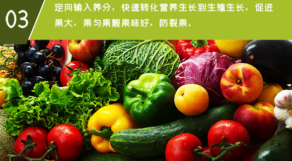 ΢��Ԫ��ˮ�ܷ���-ϡ��13Ԫ��-Ӣ����_11