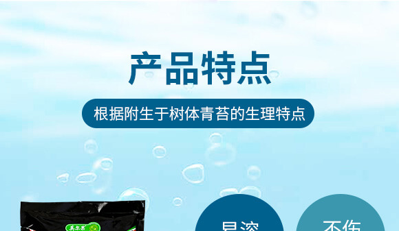 ����̦��������-���-Ӣ����_04