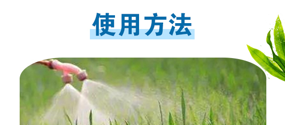 �������}-Ӣ����_12