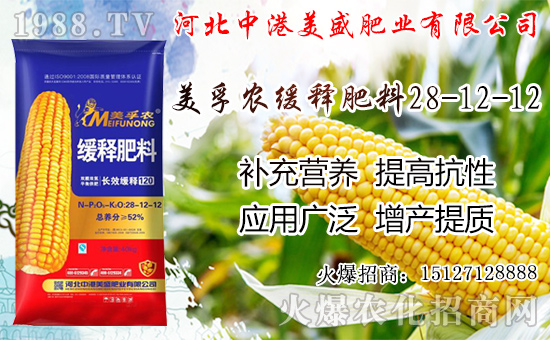 �O���������������ô�������O�������ڼ���ժ�������