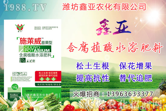 �Zʳ�q�r��20209��17��С���r�����������