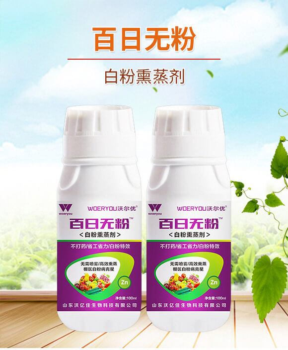 �׷�Ѭ��-���՟o(w��)��-�֠���(y��u)_01