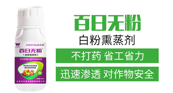 �׷�Ѭ��-���՟o(w��)��-�֠���(y��u)_02