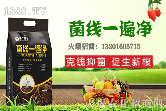 9月19日小麥價(jià)格更新，漲跌互現(xiàn)！