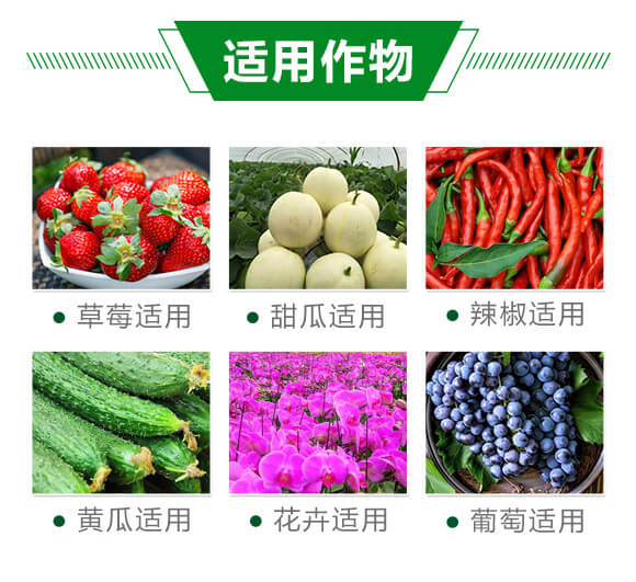 �׷�Ѭ��-���՟o(w��)��-�֠���(y��u)_05