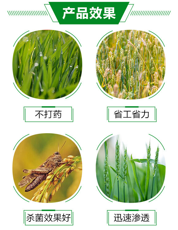 �׷�Ѭ��-���՟o(w��)��-�֠���(y��u)_03