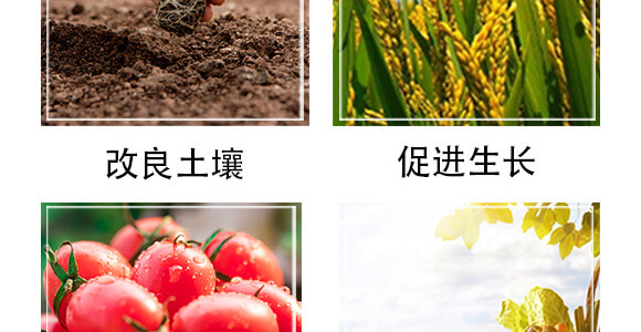 �����S��������ˮ������B(t��i)��+ֲ��I(y��ng)�B(y��ng)�ͣ�_05