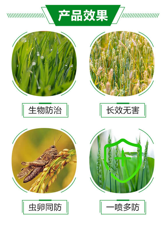 �����Ƅ�-��ʭ����-�����S����_03