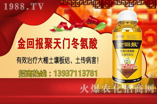 大顆粒尿素與小顆粒有啥不同？尿素該選哪一種？