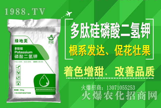 芹菜的優(yōu)良品種有哪些？芹菜種植生長(zhǎng)環(huán)境（附種植技術(shù)）