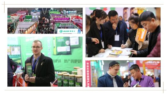 �����I�N����