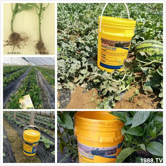 ˮ�ܷ��Ј���׃������徫���~���׌��������棡1000���Ñ��������]��