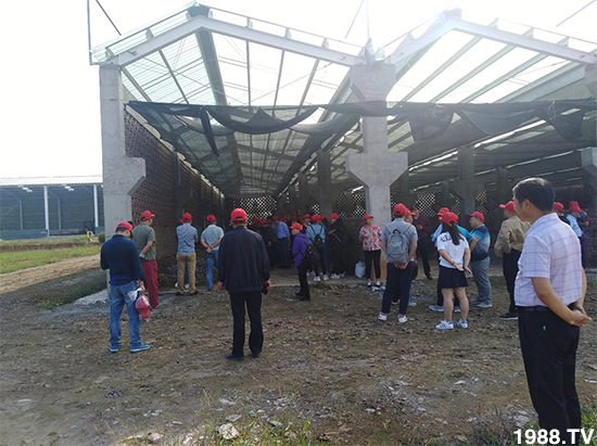 ˮ�ܷ��Ј���׃��������徫���~���׌��������棡1000���Ñ��������]��