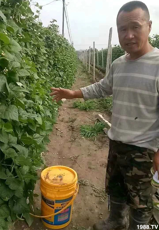 ˮ�ܷ��Ј���׃��������徫���~���׌�����������1000���Ñ��������]��