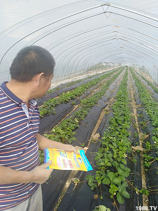 ˮ�ܷ��Ј���׃������徫���~���׌�����������1000���Ñ��������]��