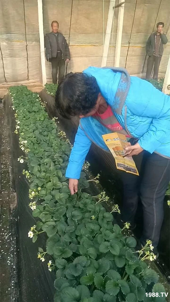 ˮ�ܷ��Ј���׃��������徫���~���׌�����������1000���Ñ��������]��